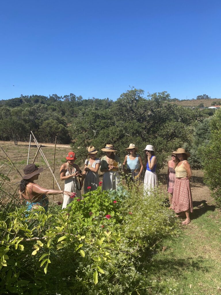 jardim medicinal permacultura Algarve